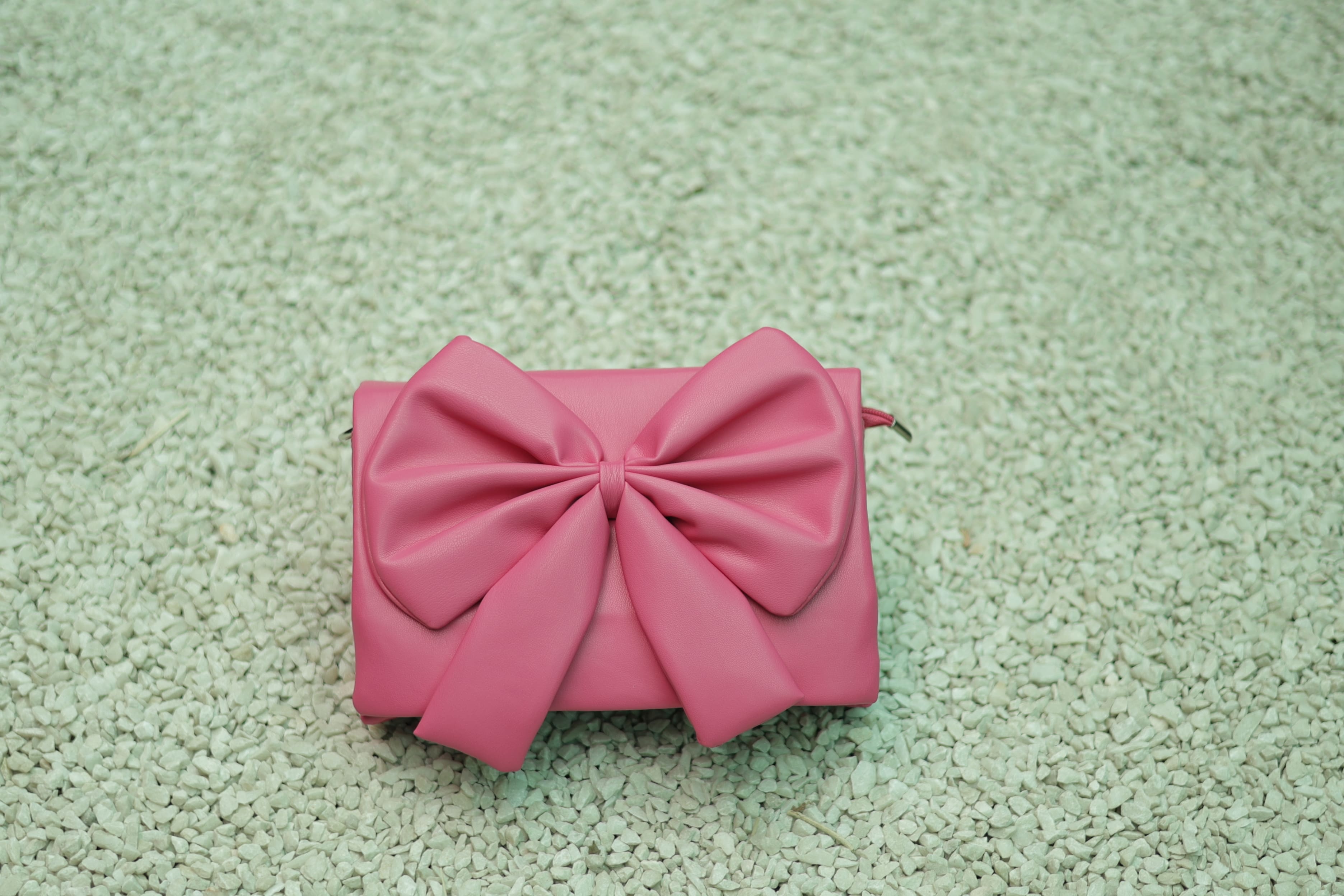Pinterest Bow Bag